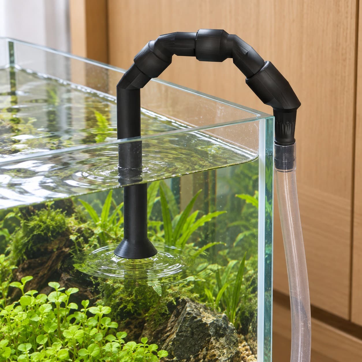 Lily Pipe Outflow Single, Eheim 12/16mm, Replacement, Black, shown in an aquarium setup